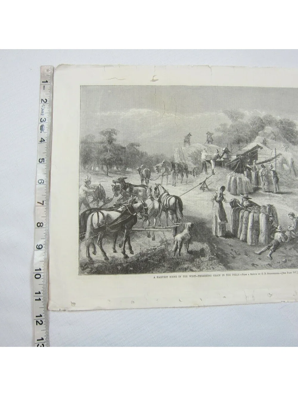 Antique 1878 Print A Harvest Scene in the West O.D. Steinberger Harper’s Weekly